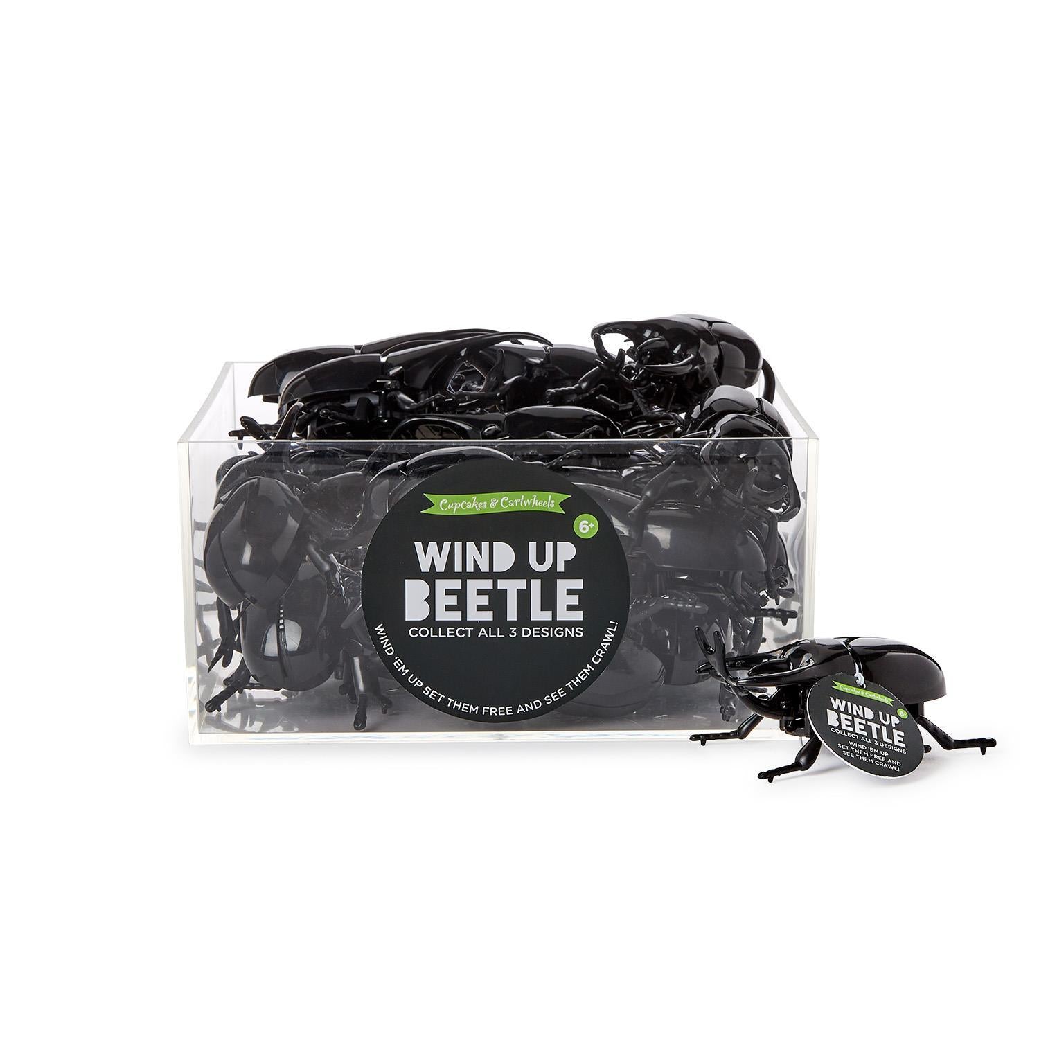 Wind Up Beetle Toy