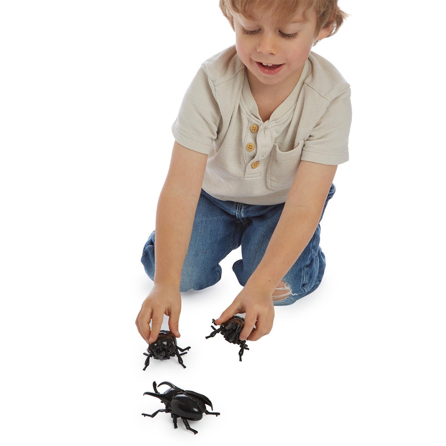 Wind Up Beetle Toy