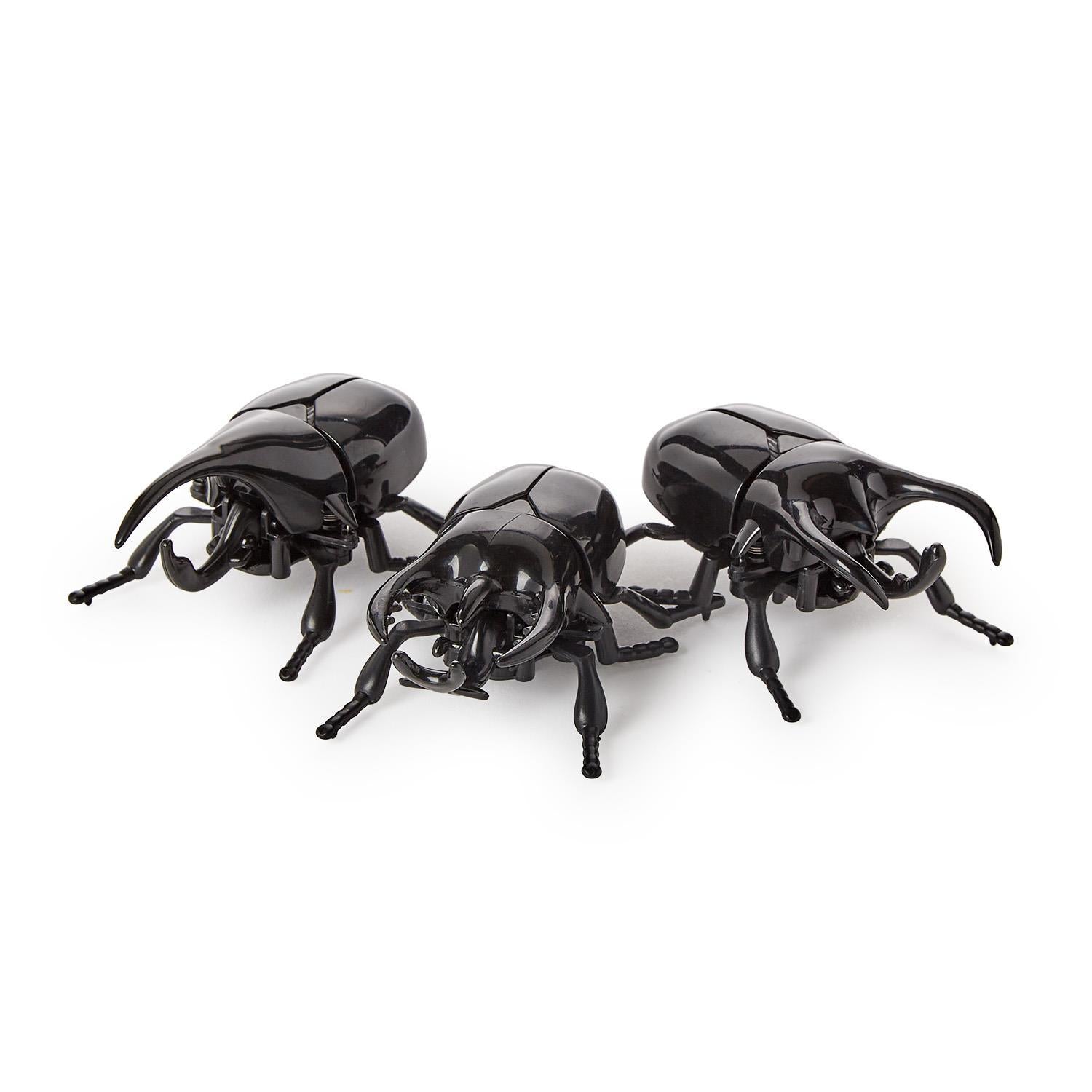 Wind Up Beetle Toy