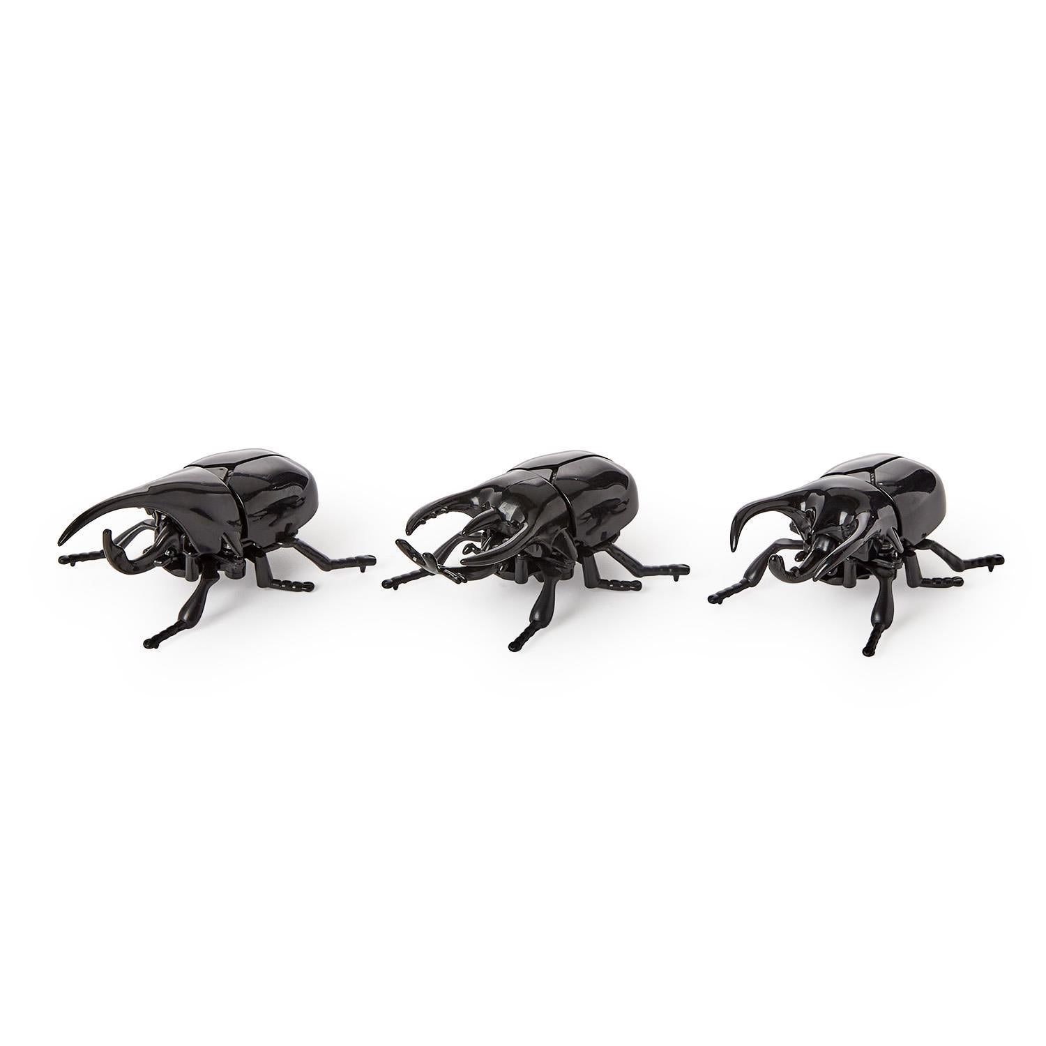 Wind Up Beetle Toy