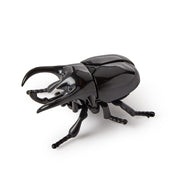 Wind Up Beetle Toy