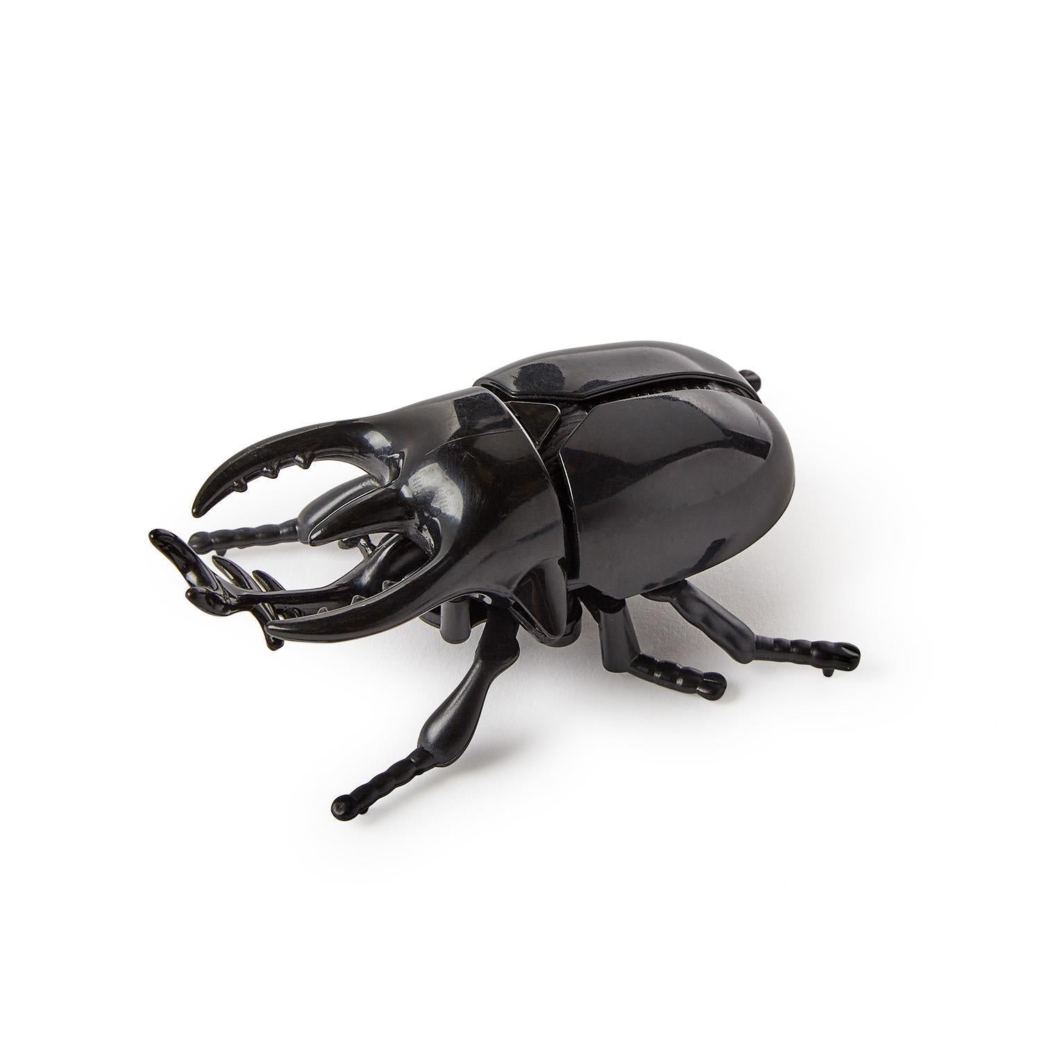 Wind Up Beetle Toy