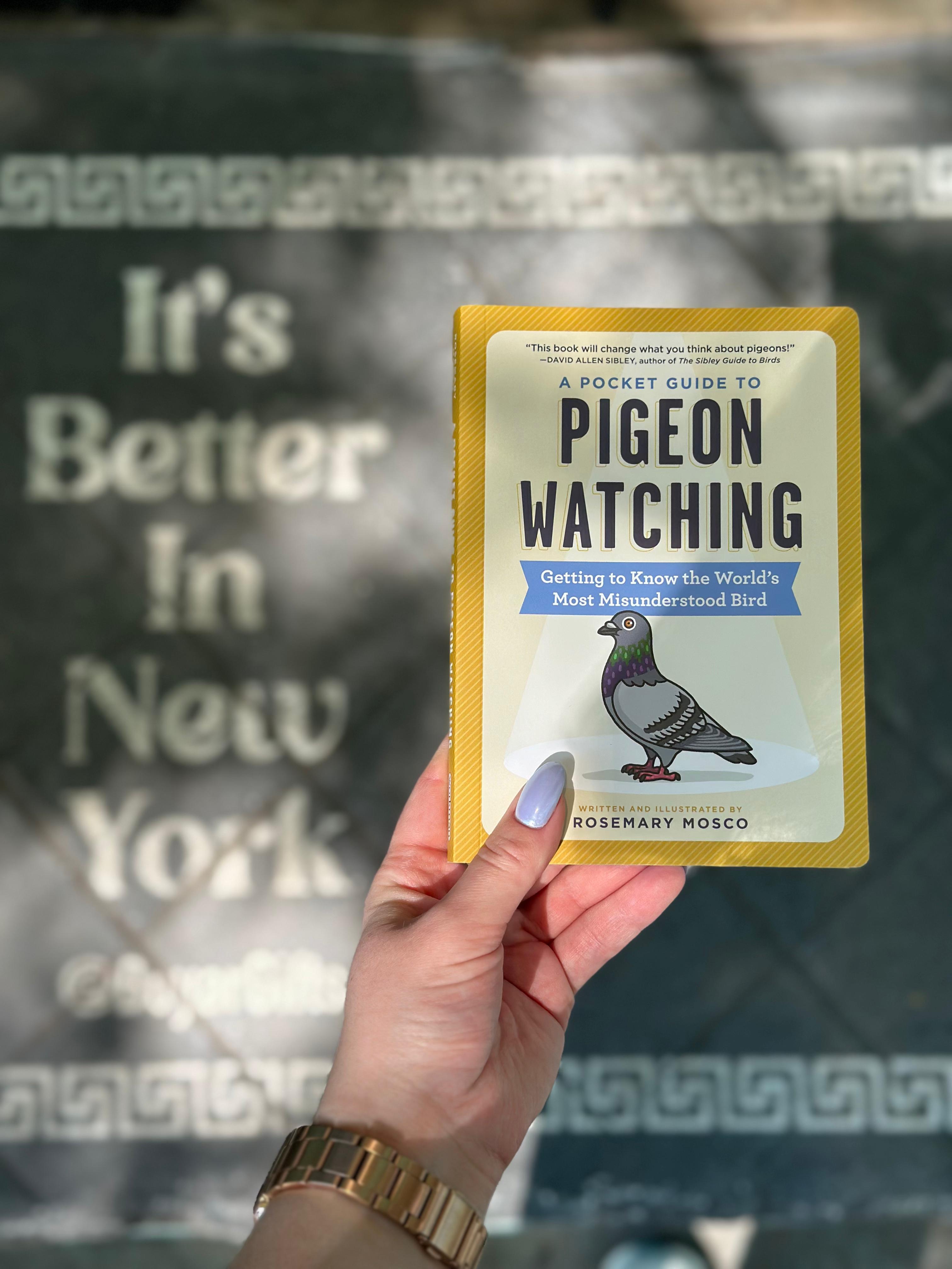 Pigeon Watching Book