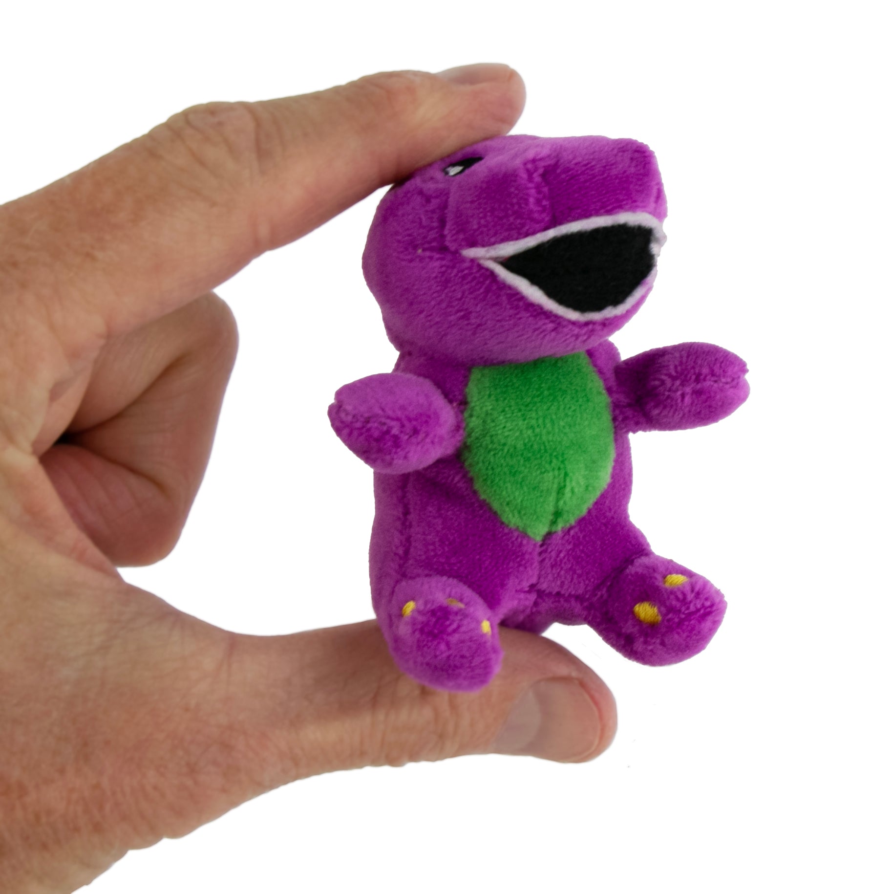 World's Smallest Barney