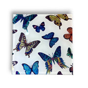 Butterfly Coaster
