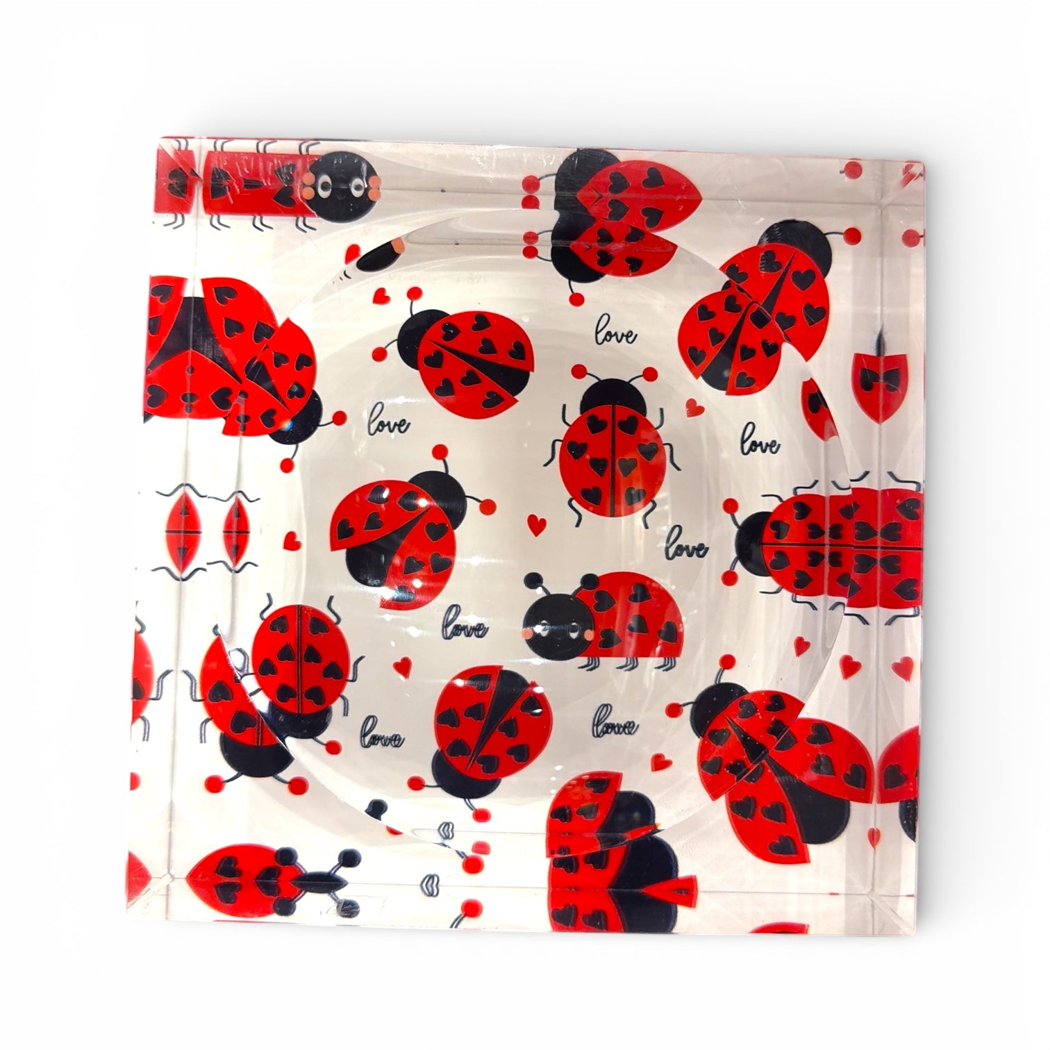 Ladybug Acrylic Dish