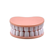 Denture Bag Clips
