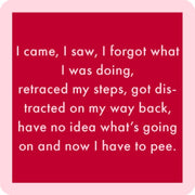 I Came I Saw Coaster