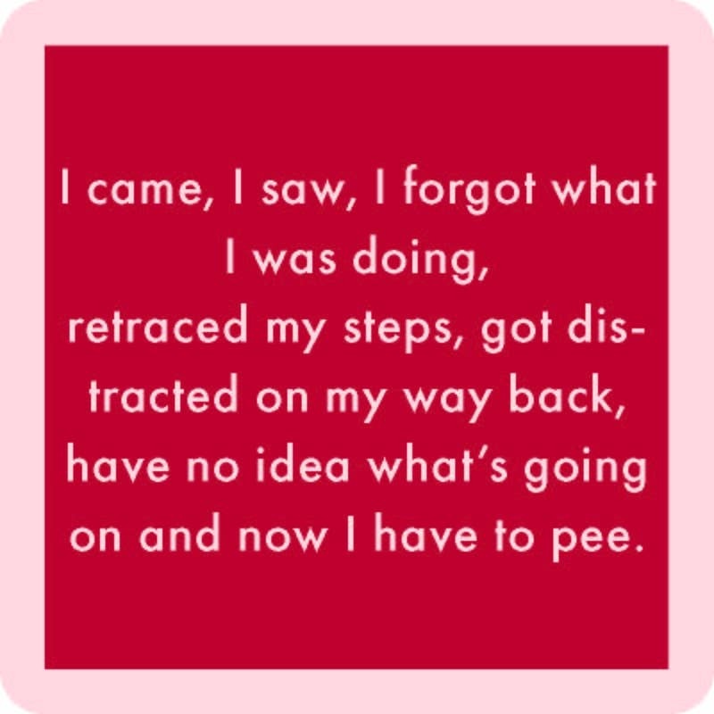 I Came I Saw Coaster