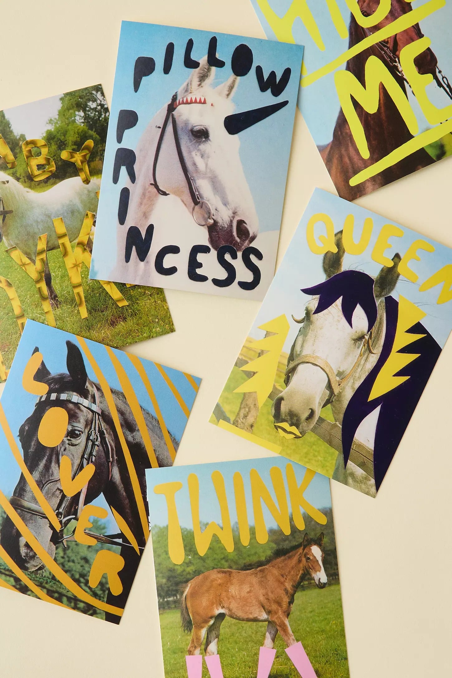 Queer Horses Postcards