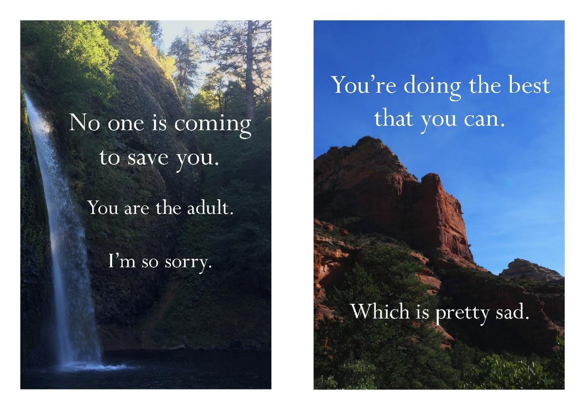 Disappointing Affirmations Book