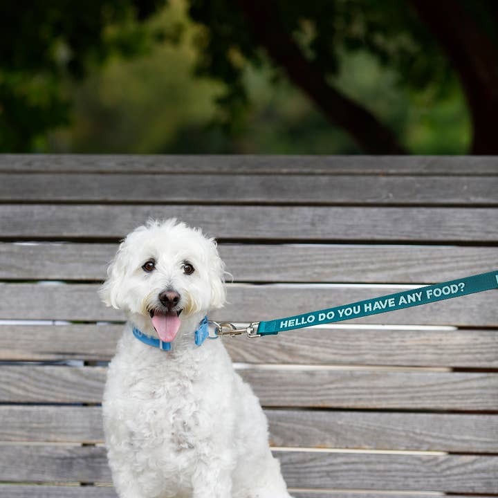 Do You Have Any Food Dog Leash