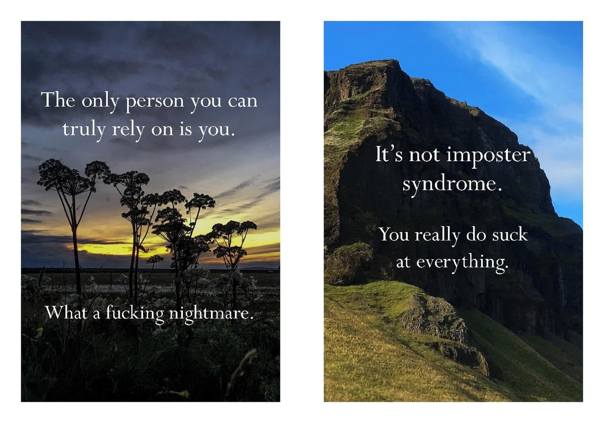 Disappointing Affirmations Book