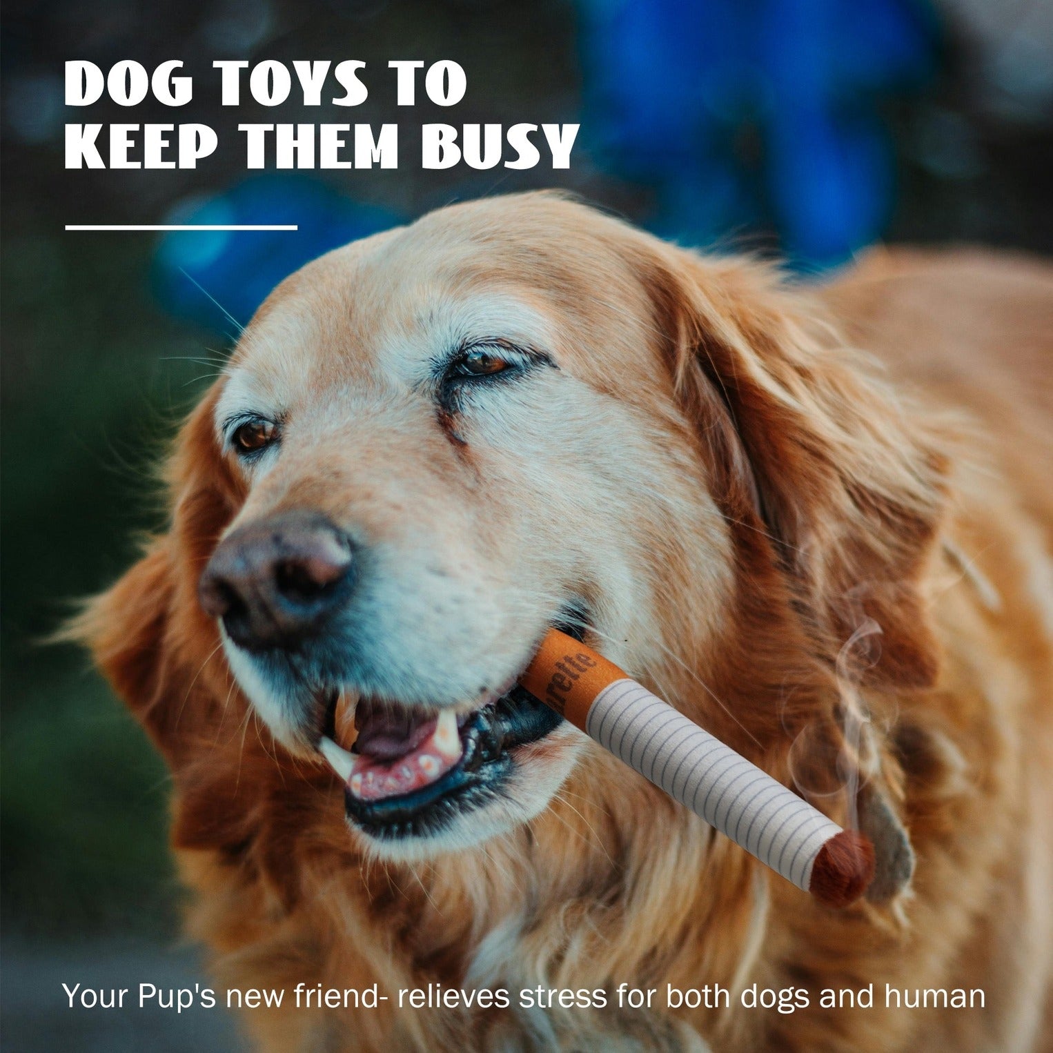 Cigarette Dog Toy