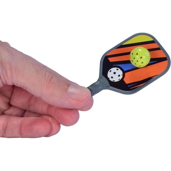 Worlds Smallest Pickleball