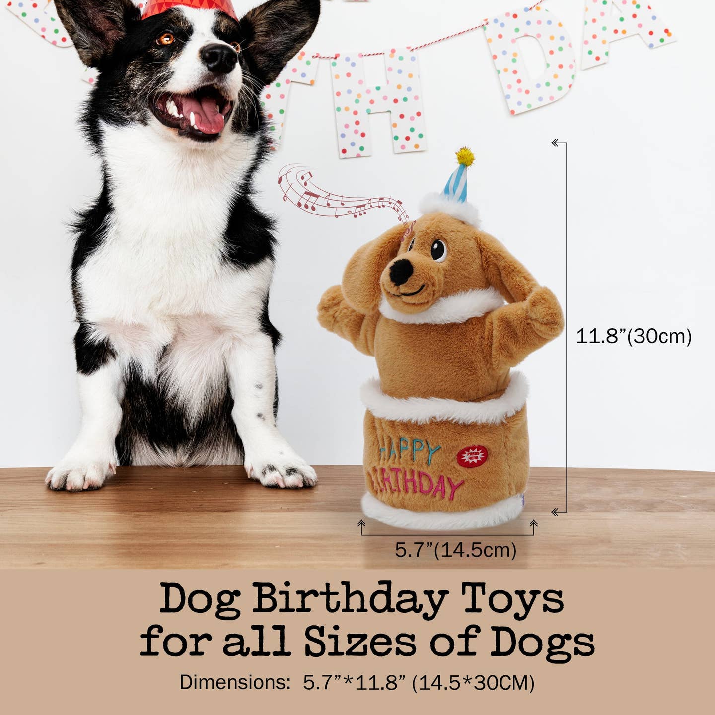 Singing And Dancing Birthday Cake Dog Toy