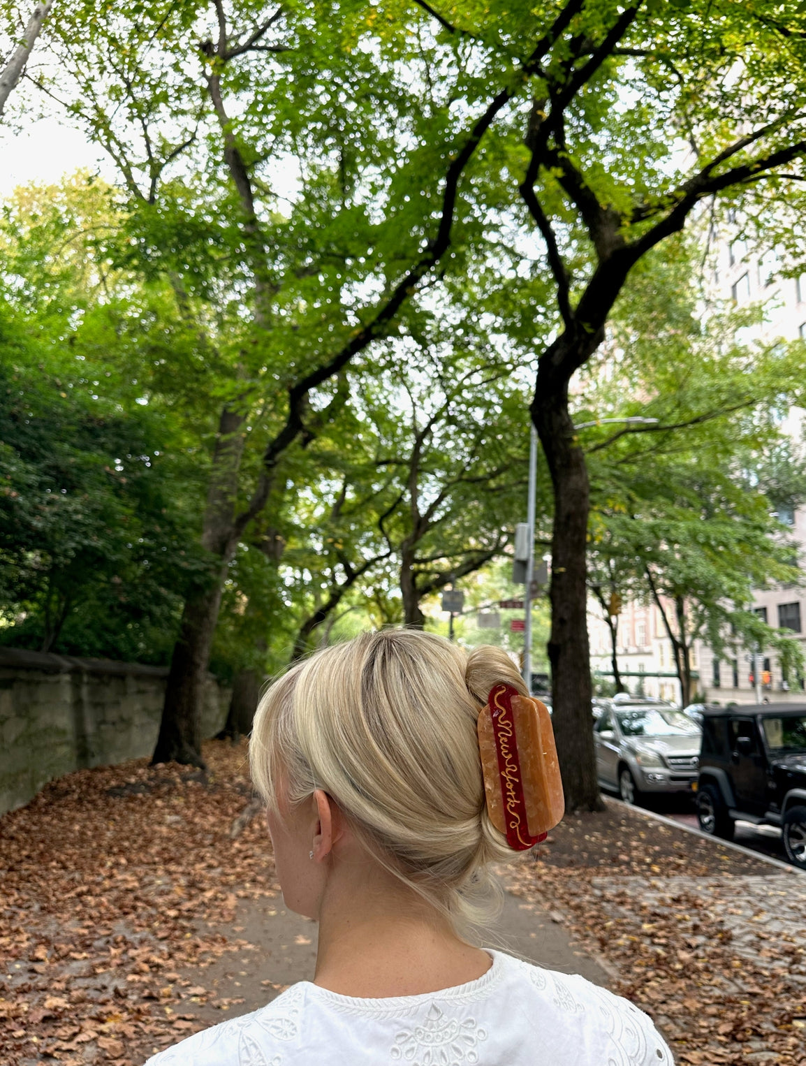 Hot Dog Hair Clip