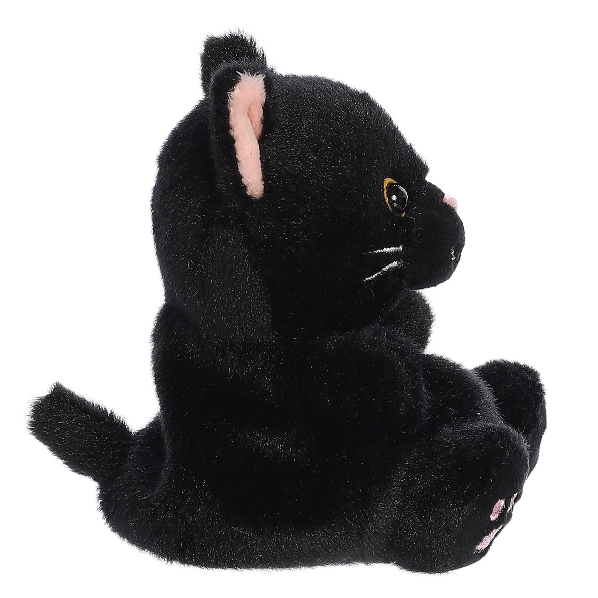 Twlight Black Cat Palm Pal