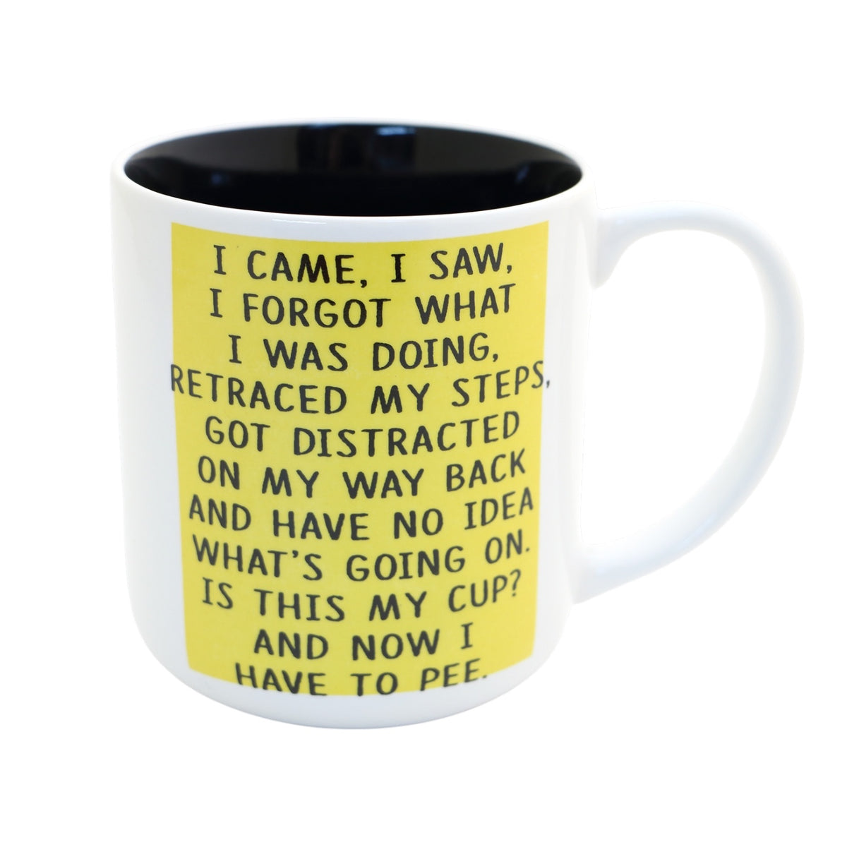 I Came I Saw Mug