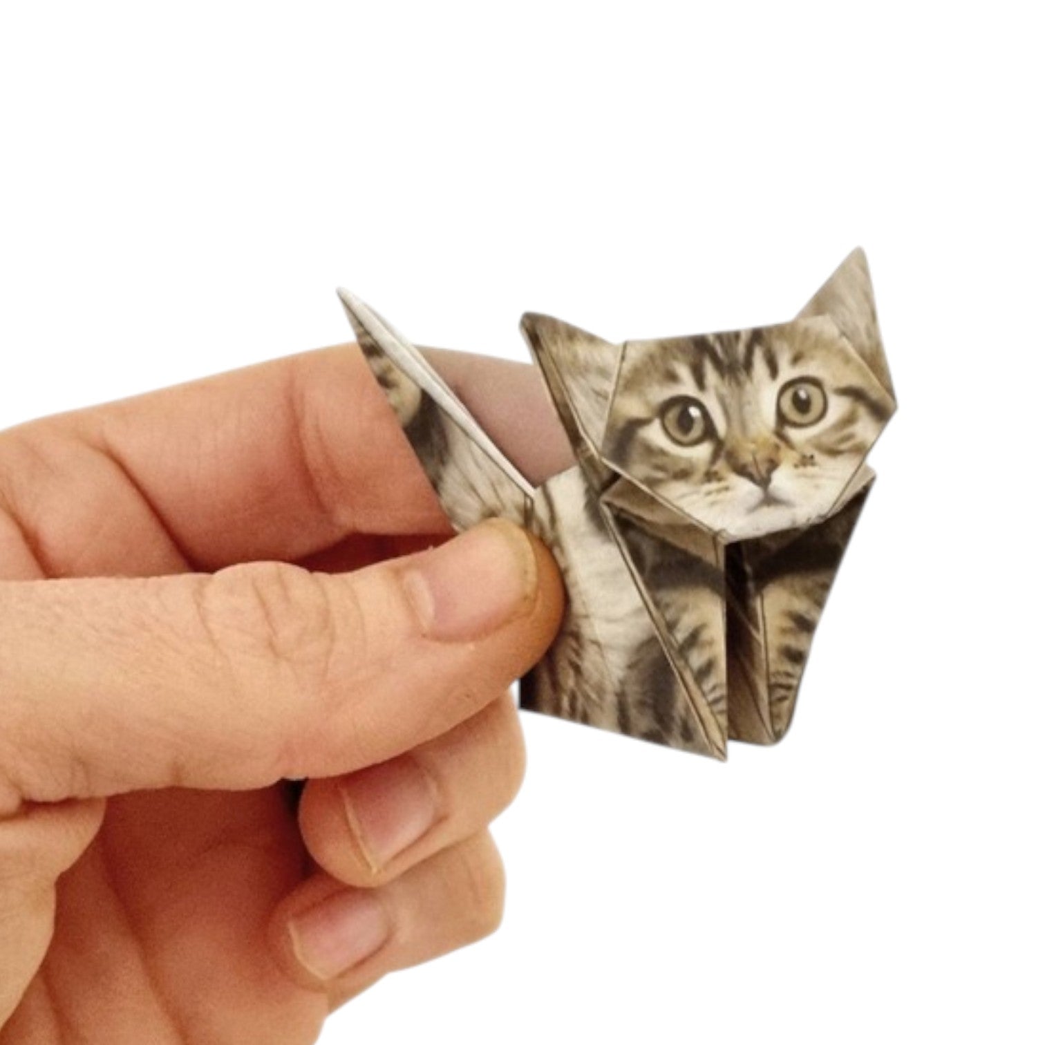 Paper Cats Origami