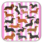 Dachshunds Coaster