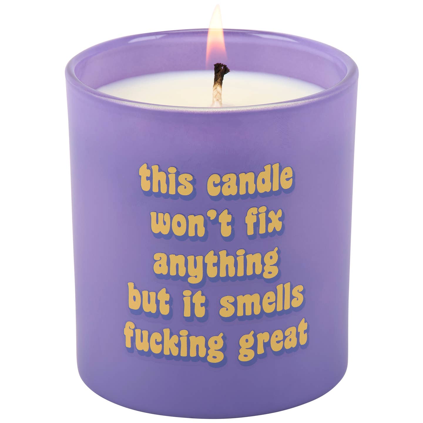 This Candle Smells Great Candle