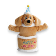 Singing And Dancing Birthday Cake Dog Toy