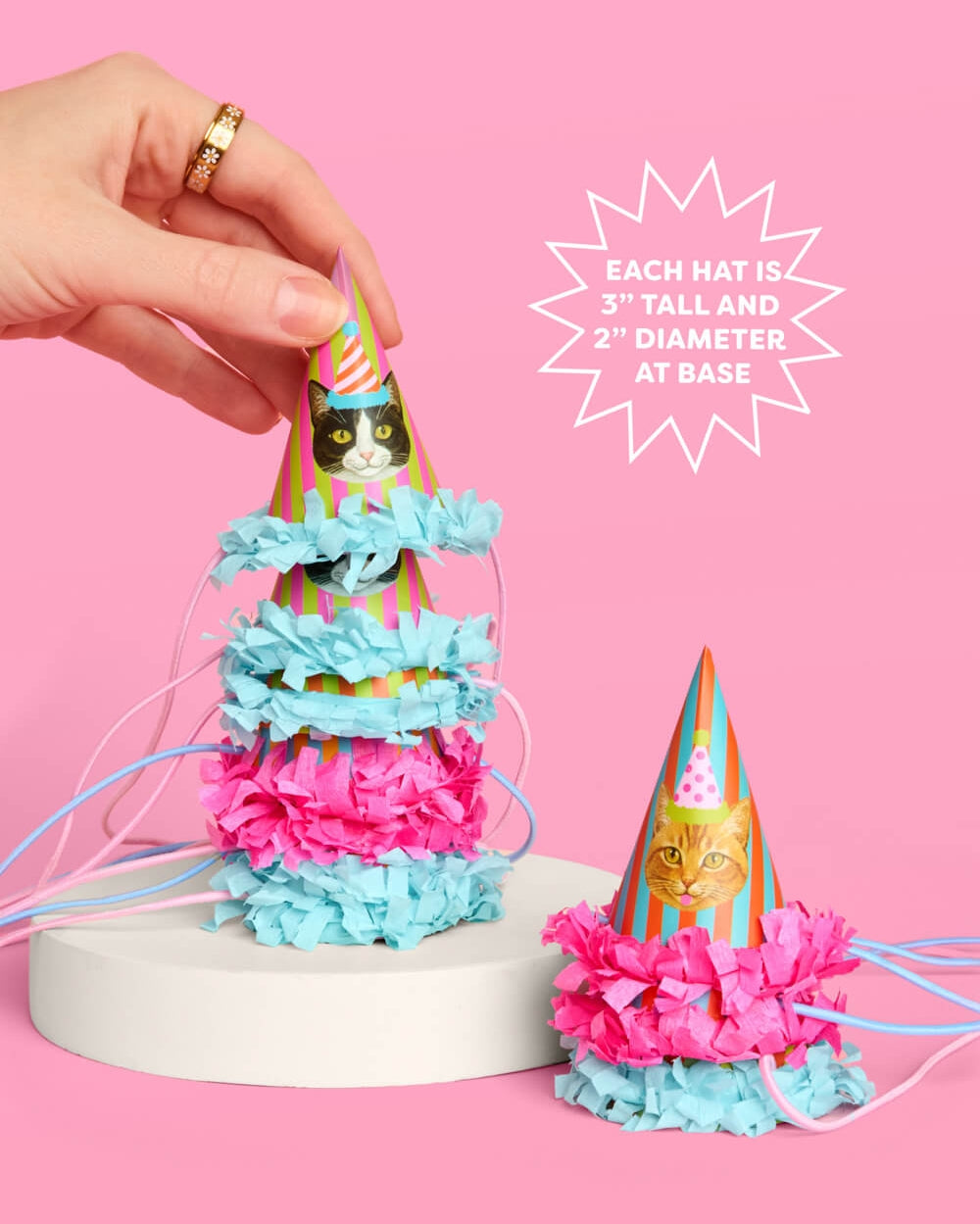 Cats Party Hats