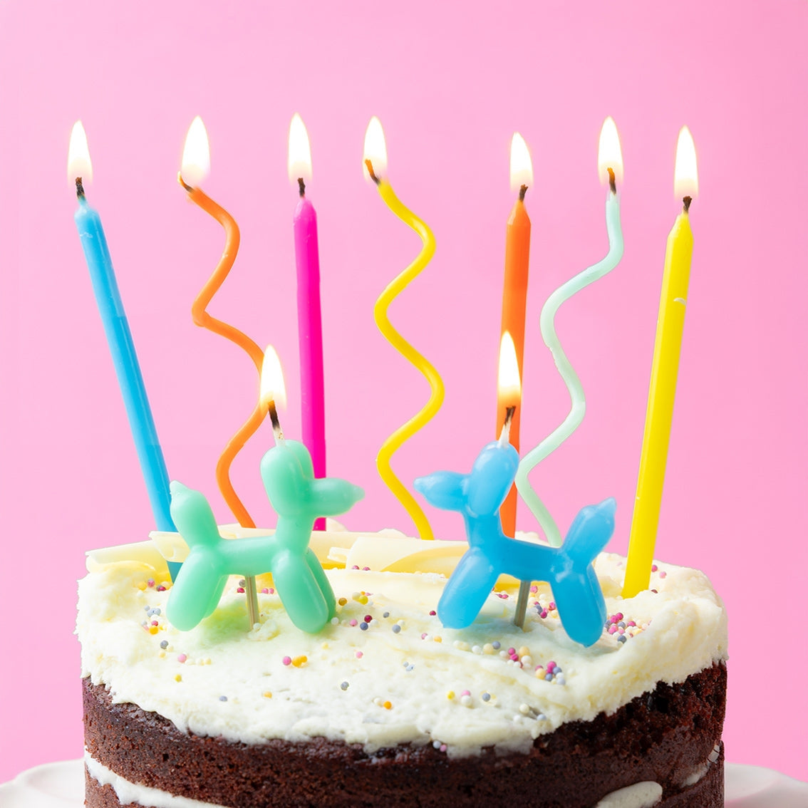 Party Balloon Dog Candles