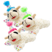 Happy Birthday Lama Dog Toy