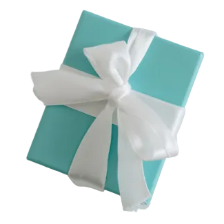 Mark as a Gift (Ship as a Gift, No Gift Wrapping)