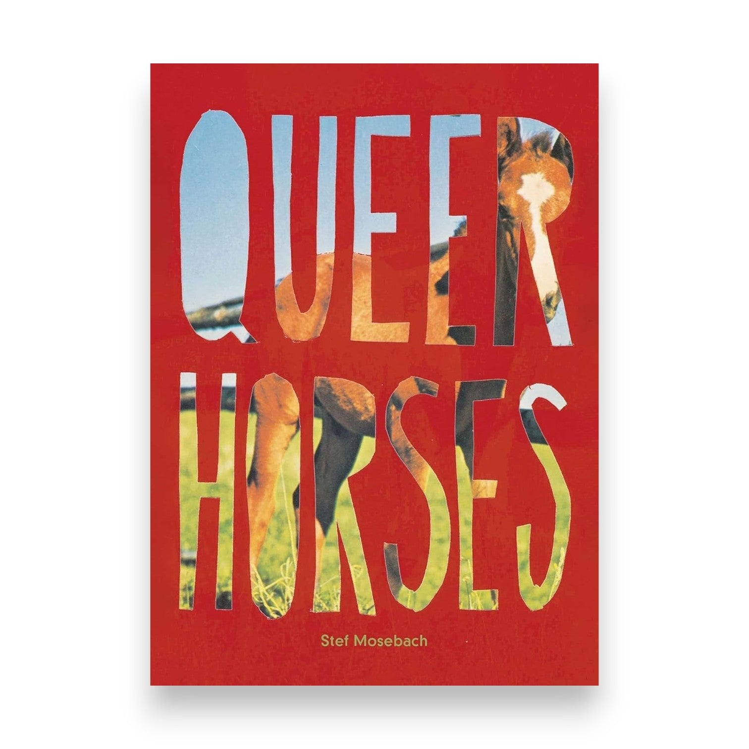 Queer Horses Postcards