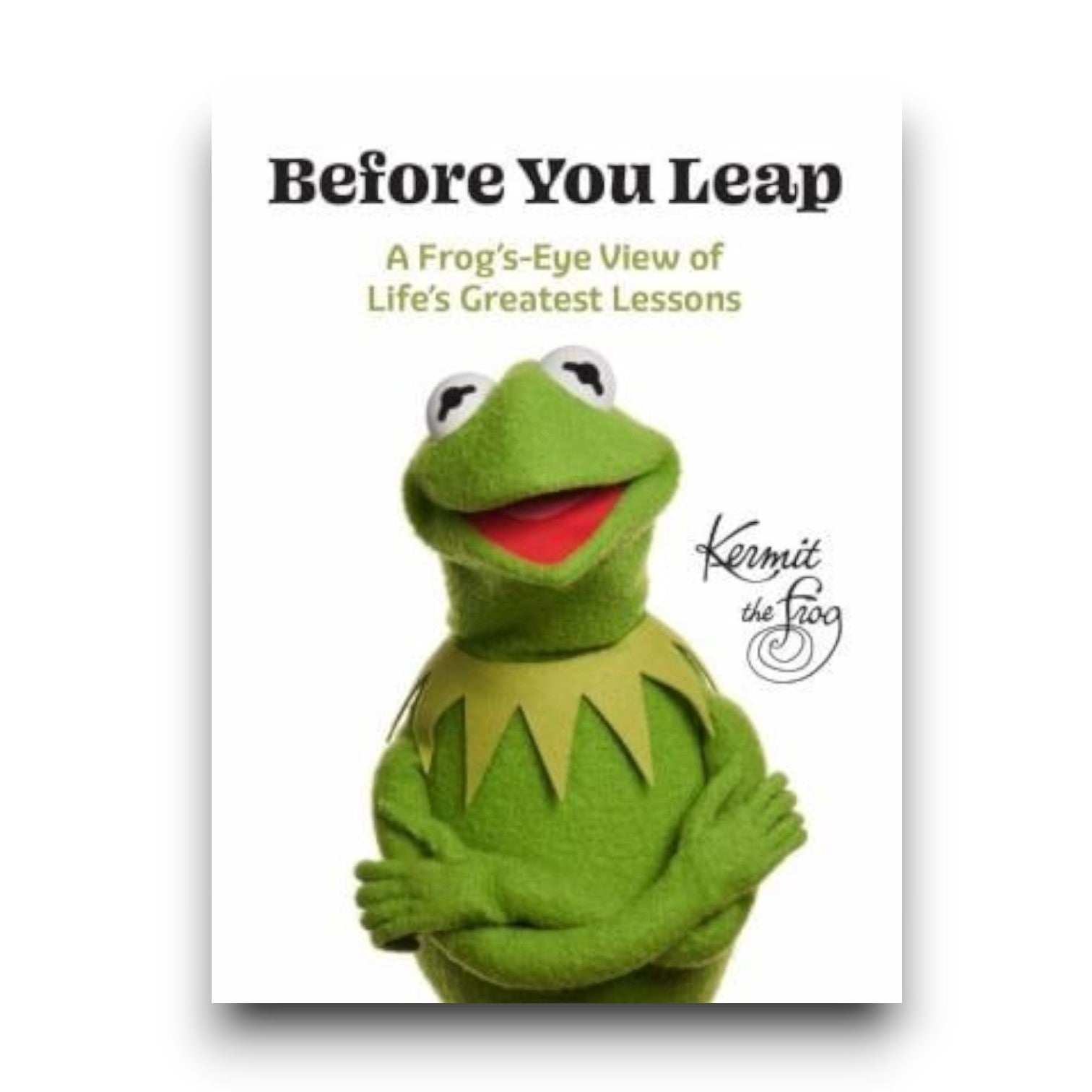 Before You Leap Book