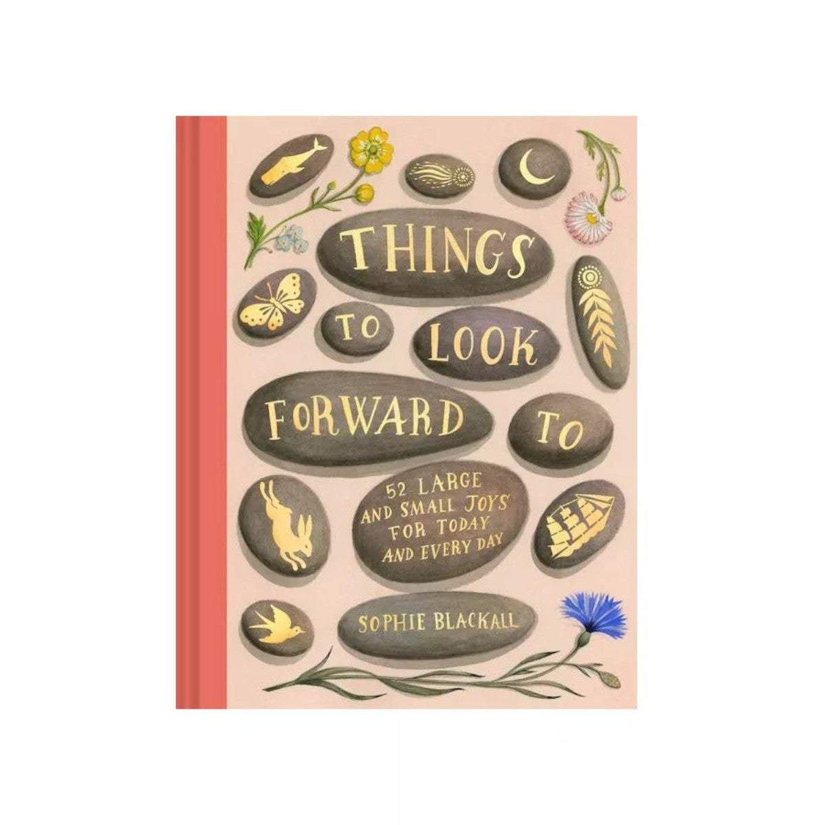 Things To Look Forward To Book