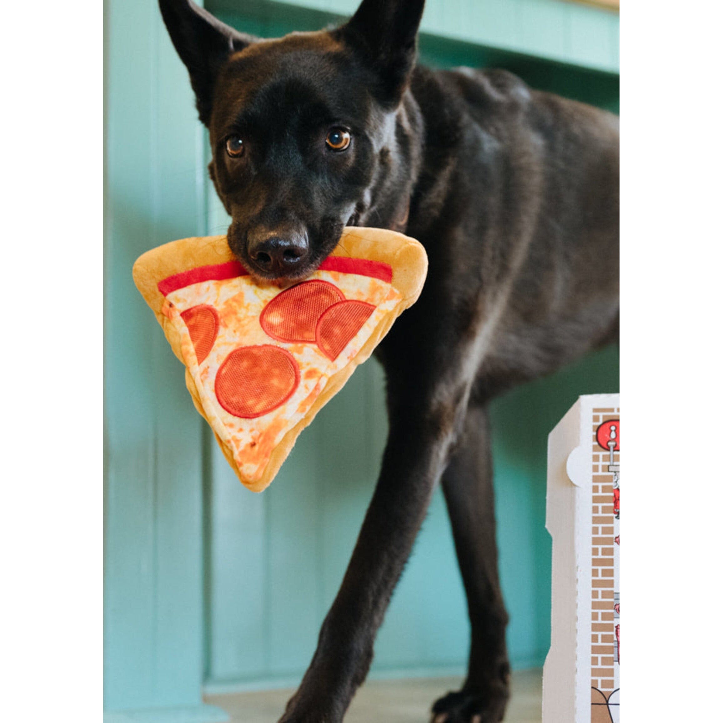 Puppyroni Pizza Dog Toy